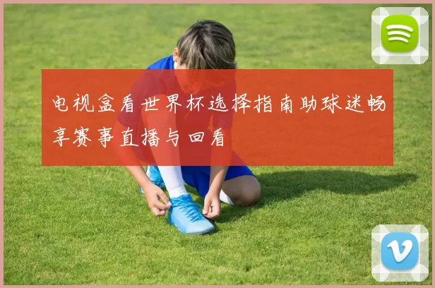 电视盒看世界杯选择指南助球迷畅享赛事直播与回看