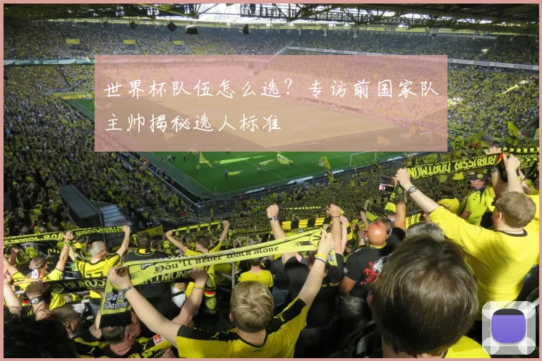 世界杯队伍怎么选?专访前国家队主帅揭秘选人标准