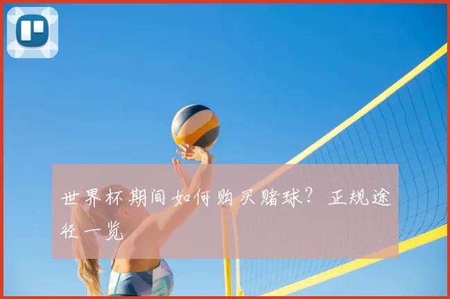 世界杯期间如何购买赌球？正规途径一览