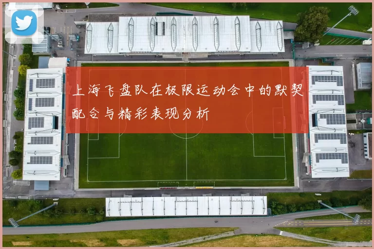 上海飞盘队在极限运动会中的默契配合与精彩表现分析