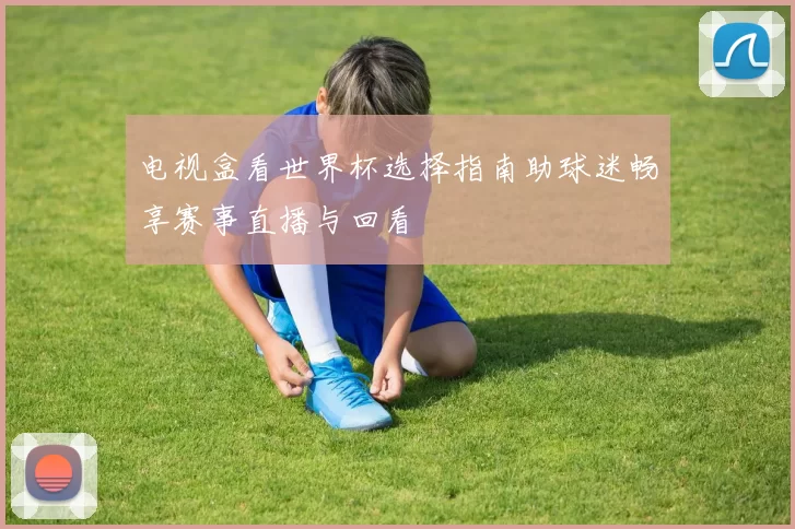 电视盒看世界杯选择指南助球迷畅享赛事直播与回看