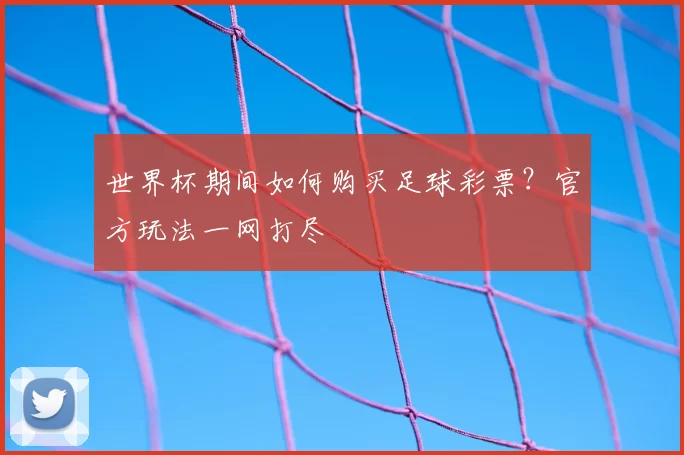 世界杯期间如何购买足球彩票?官方玩法一网打尽