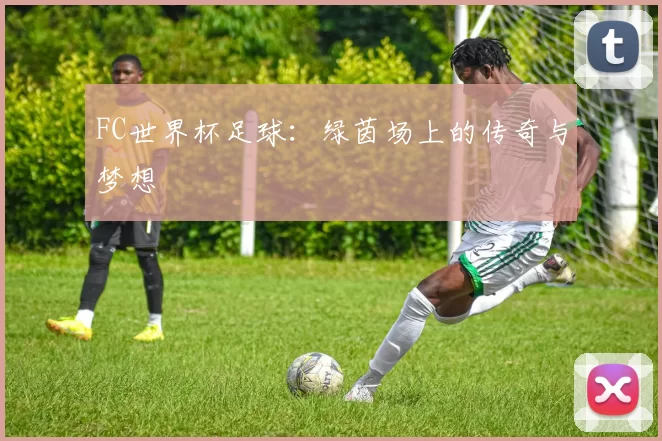 FC世界杯足球：绿茵场上的传奇与梦想