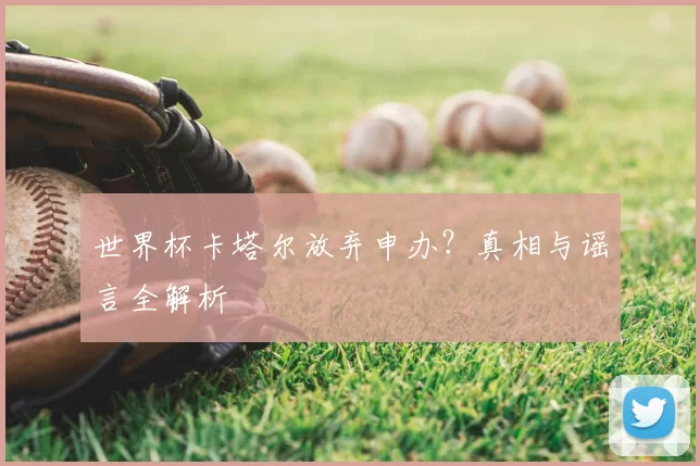 世界杯卡塔尔放弃申办?真相与谣言全解析