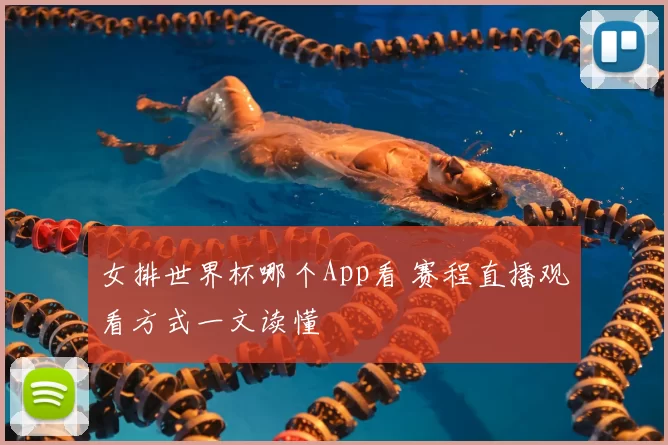 女排世界杯哪个App看 赛程直播观看方式一文读懂