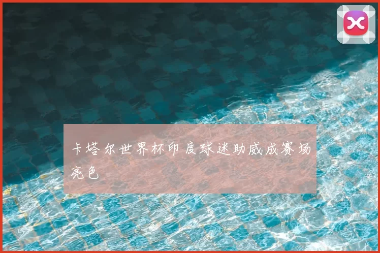 卡塔尔世界杯印度球迷助威成赛场亮色