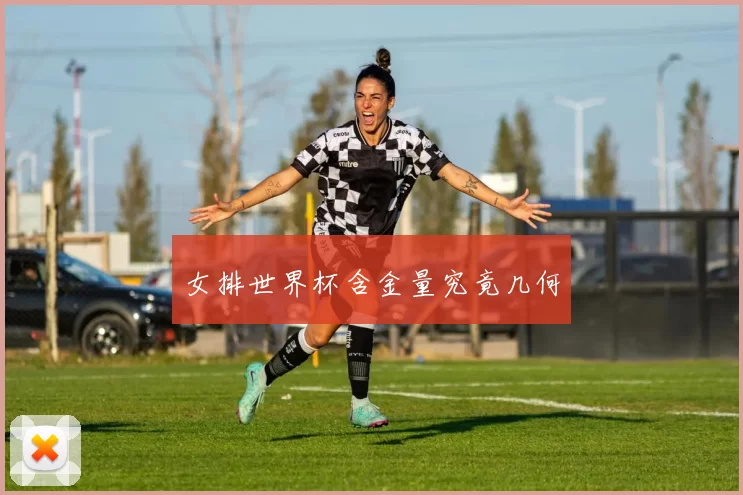 女排世界杯含金量究竟几何
