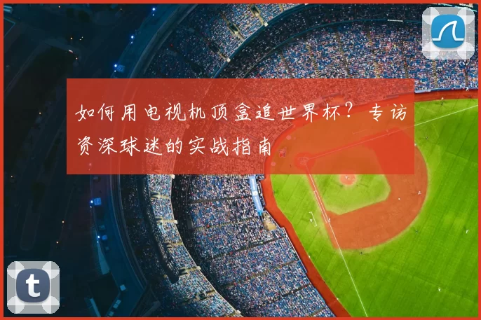 如何用电视机顶盒追世界杯？专访资深球迷的实战指南