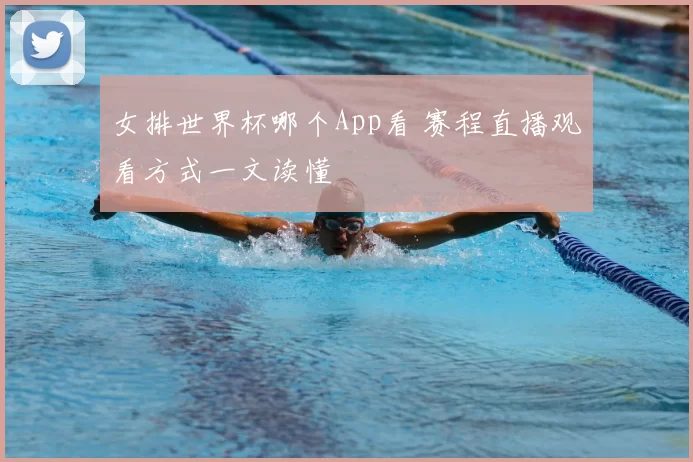女排世界杯哪个App看 赛程直播观看方式一文读懂