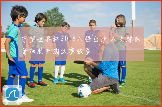 守望世界杯2018八强出炉 八支球队晋级展开淘汰赛较量