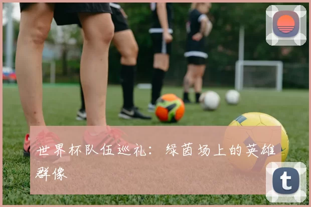 世界杯队伍巡礼：绿茵场上的英雄群像