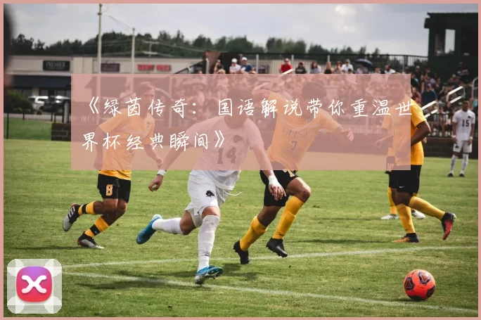 《绿茵传奇：国语解说带你重温世界杯经典瞬间》