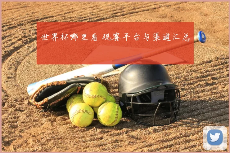 世界杯哪里看 观赛平台与渠道汇总