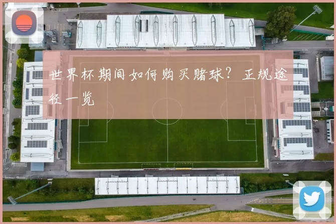 世界杯期间如何购买赌球?正规途径一览
