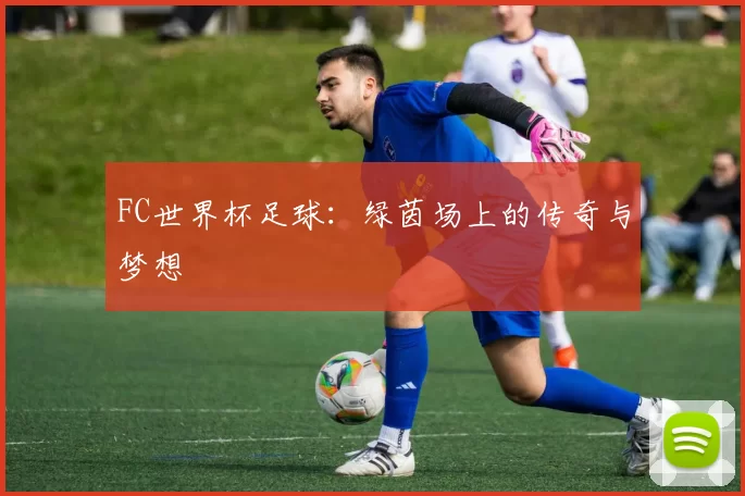 FC世界杯足球：绿茵场上的传奇与梦想