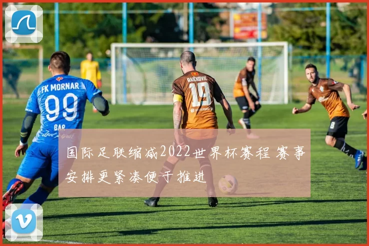 国际足联缩减2022世界杯赛程 赛事安排更紧凑便于推进