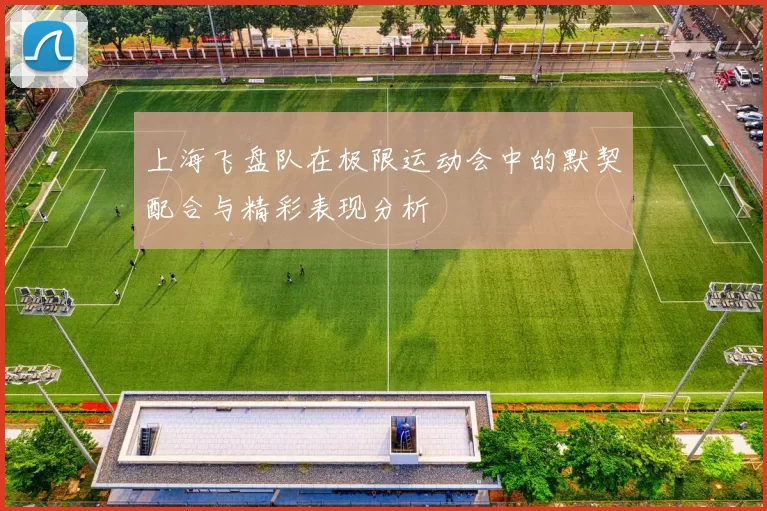 上海飞盘队在极限运动会中的默契配合与精彩表现分析