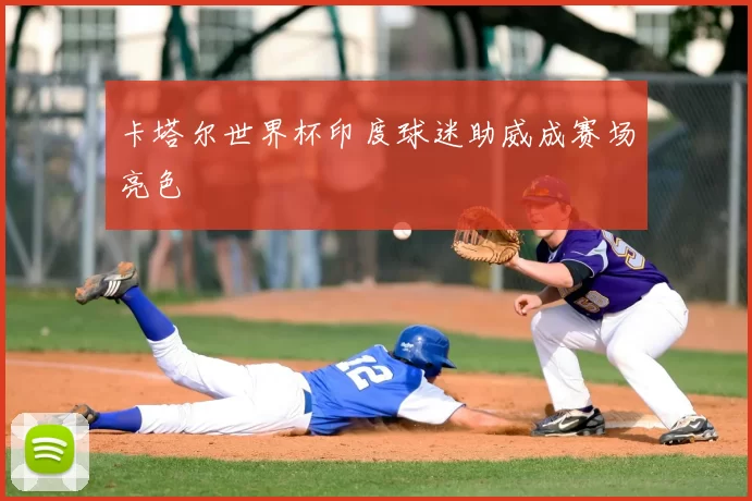 卡塔尔世界杯印度球迷助威成赛场亮色